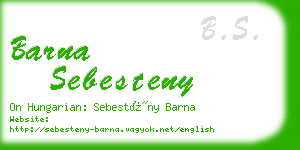 barna sebesteny business card